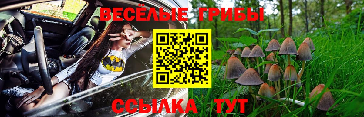 Коломна  Галлюциногенные грибы Magic Shrooms  Псилоцибиновые грибы ЛСД  Вход с VPN 